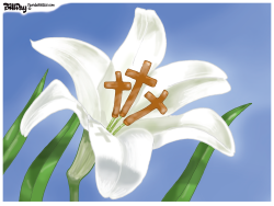 EASTER LILY by Bill Day