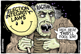 ELECTION INTEGRITY LAWS by Monte Wolverton