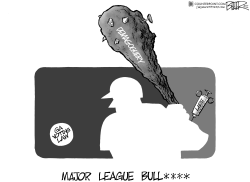 Voting Law and MLB by Nate Beeler