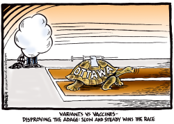 VARIANTS VS VACCINES by Ingrid Rice
