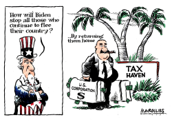 TAX HAVENS by Jimmy Margulies