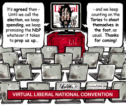 LIB CONVENTION by Steve Nease