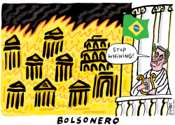 CORONA CRISIS IN BRAZIL by Schot