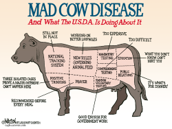 U.S.D.A. MAD COW DISEASE CHART- by RJ Matson