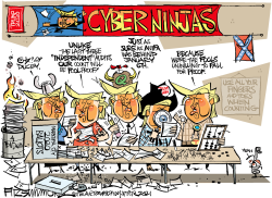 CYBER NINJA VOTE COUNT by David Fitzsimmons