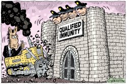 FALL OF QUALIFIED IMMUNITY  by Monte Wolverton
