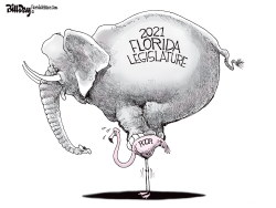 2021 FLORIDA LEGISLATURE by Bill Day