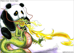 CHINA - DRAGON IN PANDA CLOTHING by Taylor Jones