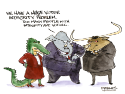 VOTER INTEGRITY PROBLEM by Pat Byrnes