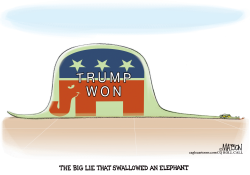 THE BIG LIE THAT SWALLOWED AN ELEPHANT by R.J. Matson