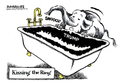 KISSING THE RING by Jimmy Margulies