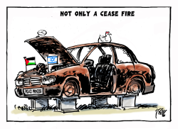 ISRAEL NOT ONLY A CEASE FIRE by Tom Janssen