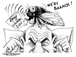 Cicadas back again by Dave Granlund