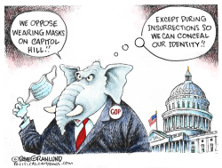 GOP AND CAPITOL HILL MASKS by Dave Granlund