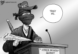 The Cyber Ninja Audit by Bruce Plante