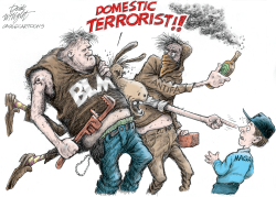 DOMESTIC TERRORISTS by Dick Wright