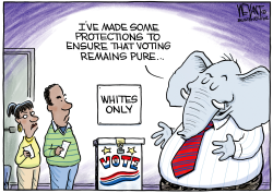 REPUBLICAN ELECTION PURITY by Christopher Weyant