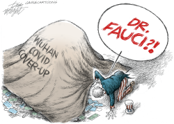 FAUCI COVER UP by Dick Wright