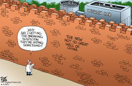 THE NEW NOT-SO-GREAT WALL OF CHINA by Bruce Plante