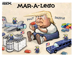 MAR-A-LAGO CHILD by Steve Sack