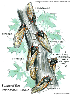 SONGS OF THE PERIODICAL CICADA - REPOST by Taylor Jones