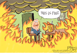 FIRES IN THE WET by Pat Bagley