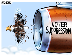 VOTER SUPPRESSION by Steve Sack