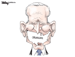 BIDEN AND OBAMACARE by Bill Day