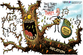 BIDEN INFLATION by Rick McKee