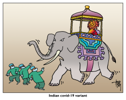 INDIAN COVID-19 VARIANT by Arend van Dam