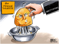 FRESHLY SQUEEZED by Dave Whamond