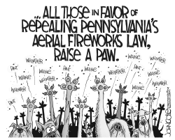 LOCAL PA - Fireworks law by John Cole
