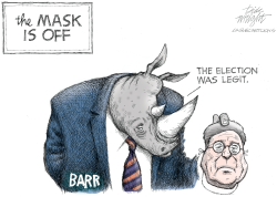 BARR MASK by Dick Wright