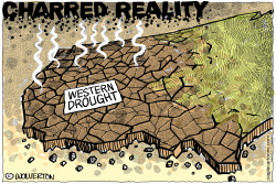 CHARRED REALITY OF THE WESTERN DROUGHT by Monte Wolverton