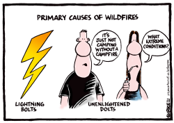 PRIMARY CAUSES OF WILDFIRES by Ingrid Rice