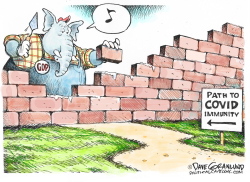 PATH TO COVID IMMUNITY by Dave Granlund