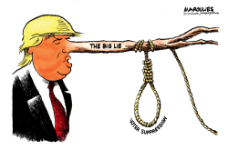 THE BIG LIE by Jimmy Margulies
