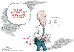 CRT Chews Out Biden by Dick Wright
