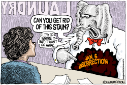 THE STAIN OF JANUARY 6 by Monte Wolverton
