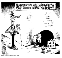 CREDIT CARD RATE HIKES by Mike Lane