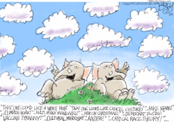 CLOUDY OUTRAGE by Pat Bagley
