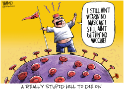 STUPID HILL TO DIE ON by Dave Whamond
