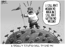 Stupid hill to die on by Dave Whamond