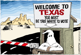 TEXAS VOTER RESTRICTIONS by Monte Wolverton