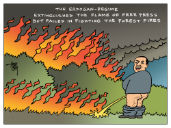 FOREST FIRES TURKEY by Arend van Dam