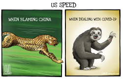 US SPEED by Luojie