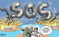 WILDFIRE GLOBAL TREND by Paresh Nath