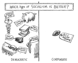 Types of socialism by Adam Zyglis