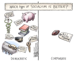 TYPES OF SOCIALISM by Adam Zyglis