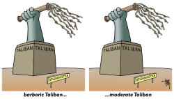 MODERATE TALIBAN by Arend van Dam